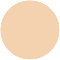 オールインワン ビューティーパクト                