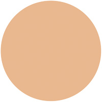 オールインワン ビューティーパクト                