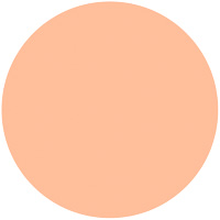 プリズムパウダリー���������