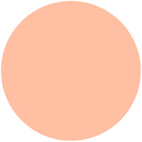 プリズムパウダリー���������