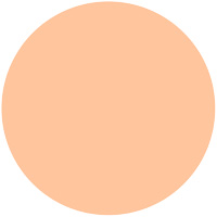 プリズムパウダリー���������