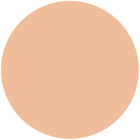 薬用 スキンケアファンデーション (パウダリー)��������������������