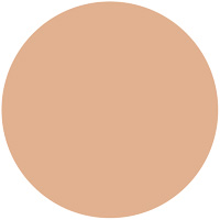 薬用 スキンケアファンデーション (パウダリー)��������������������