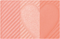 チークスタイリスト         