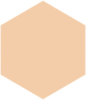 プロフィニッシュファンデーション（レフィル）                      