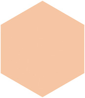 プロフィニッシュファンデーション（レフィル）                      