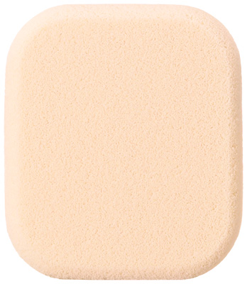 プロフィニッシュファンデーション（レフィル）                      