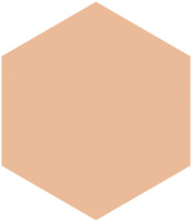 プロフィニッシュファンデーション（レフィル）                      