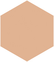 プロフィニッシュファンデーション（レフィル）                      