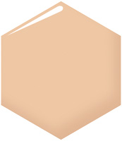 プロフィニッシュクッション （レフィル）                   