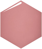 ネールズ Ｎ     