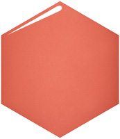 ネールズ Ｎ     