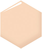 プロフィニッシュクッション              