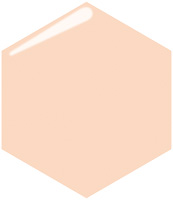 プロフィニッシュリキッド            