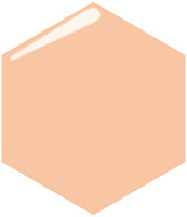 プロフィニッシュリキッド            