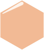 プロフィニッシュリキッド            