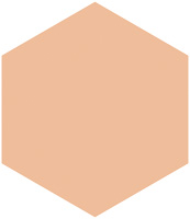 モイストパクトＥＸ（レフィル）               