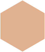 モイストパクトＥＸ（レフィル）               