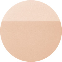 光仕上げパウダーUV        