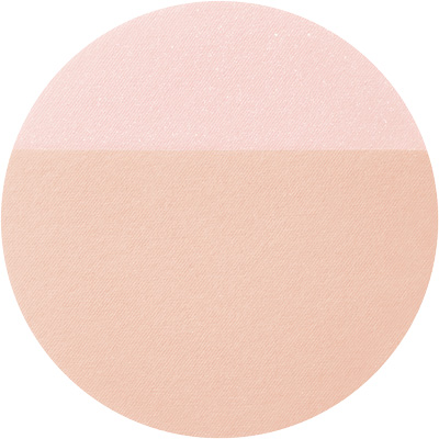 光仕上げパウダーUV （レフィル）              