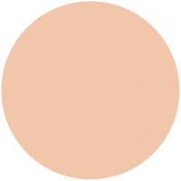 プレミアムパクト（レフィル）              