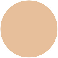 プレミアムパクト（レフィル）              