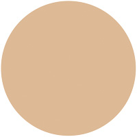 プレミアムパクト（レフィル）              