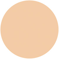 プレミアムパクト（レフィル）              