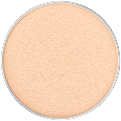 プレミアムパクト（レフィル）              